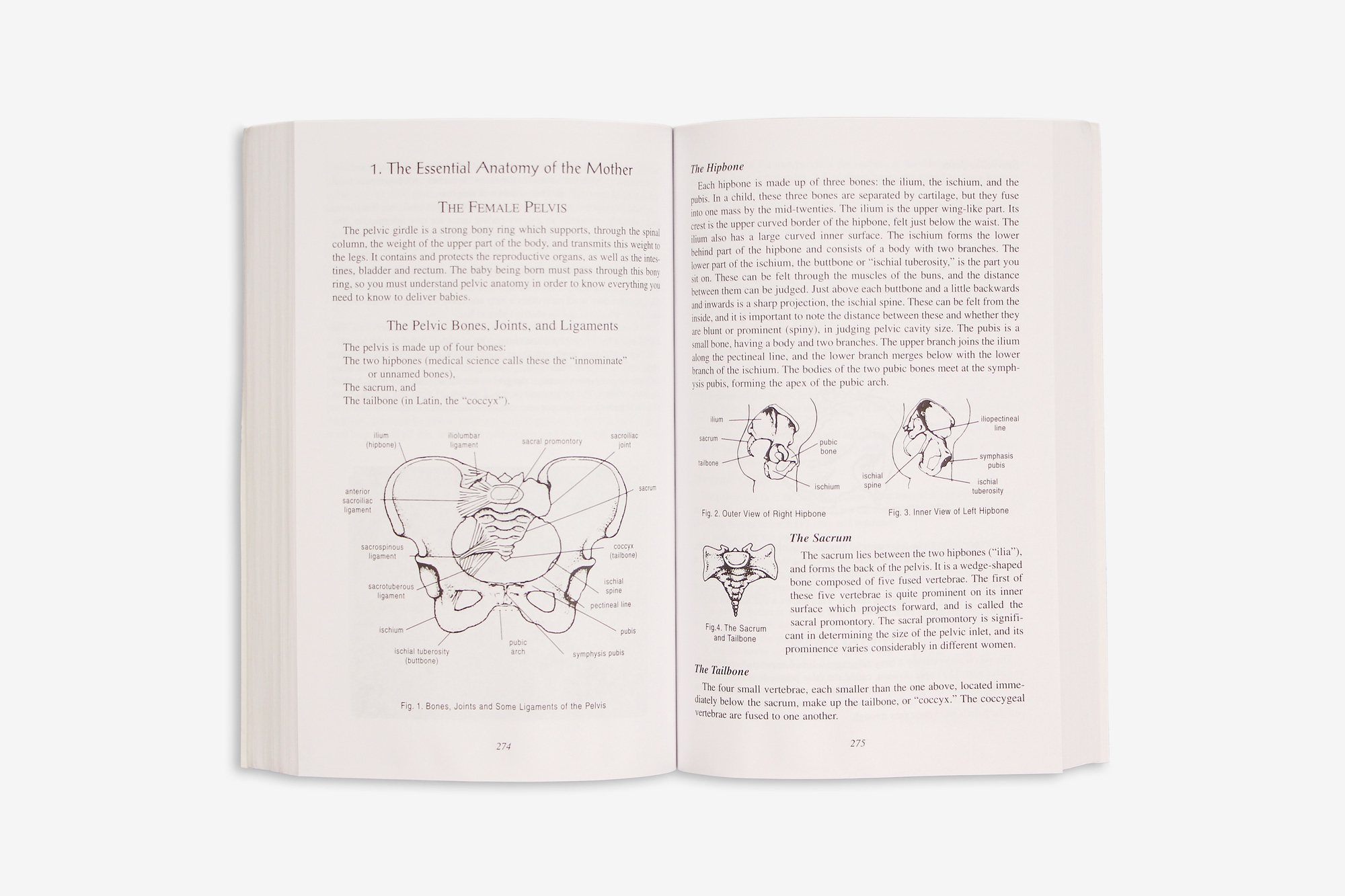 Ina May Gaskin's book "Spiritual Midwifery" showing the skeletal anatomy of the female pelvis.