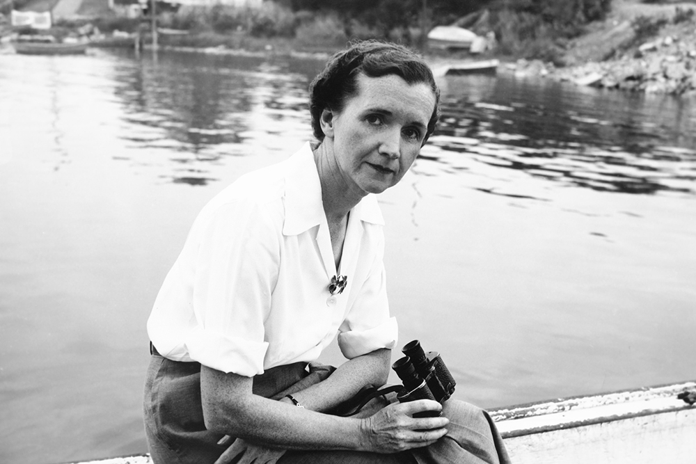 Rachel Carson at Woods Hole, Massachusetts, 1950