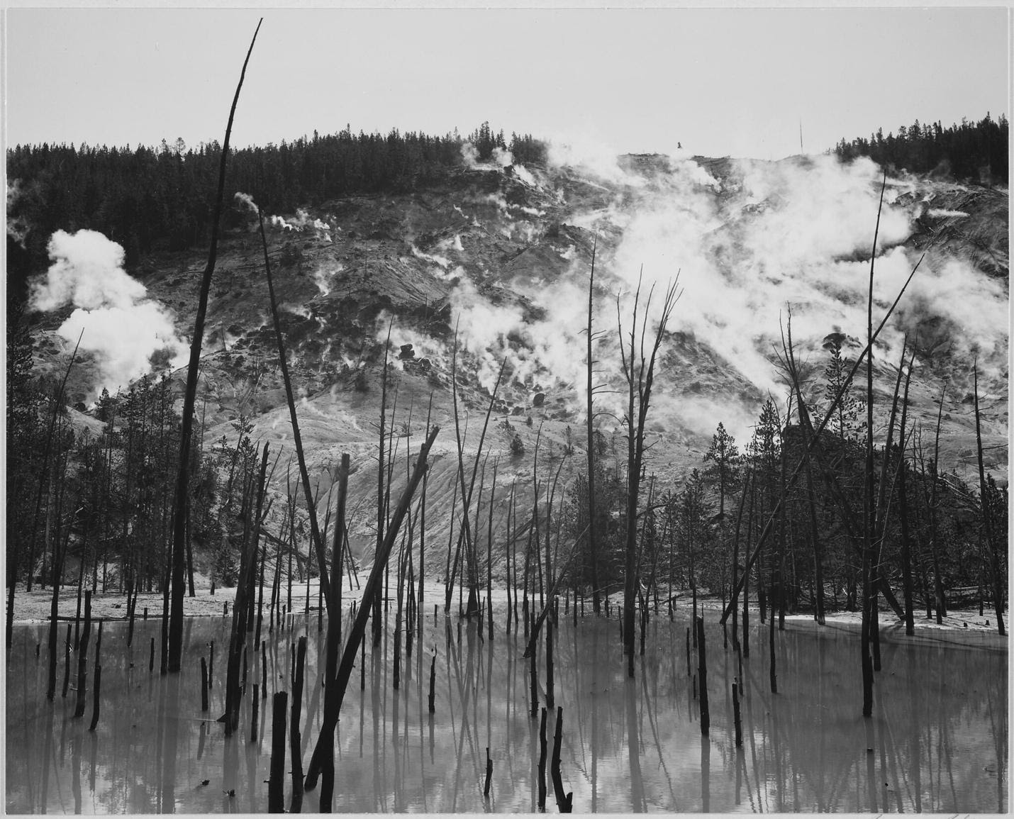 Barren tree trunks rising from water in foreground, stream rising from mountains in background, "Roaring Mountain, Yellowstone National Park," Wyoming. Ansel Adams