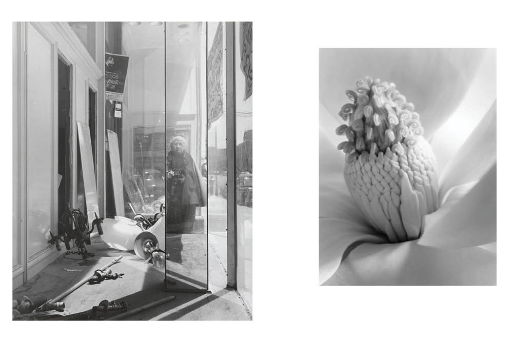 imogen-cunningham--self-portrait-on-geary-street--museum-of-modern-art--magnolia-blossom--tower-of-jewels--1925--alabama-chanin--inspiration