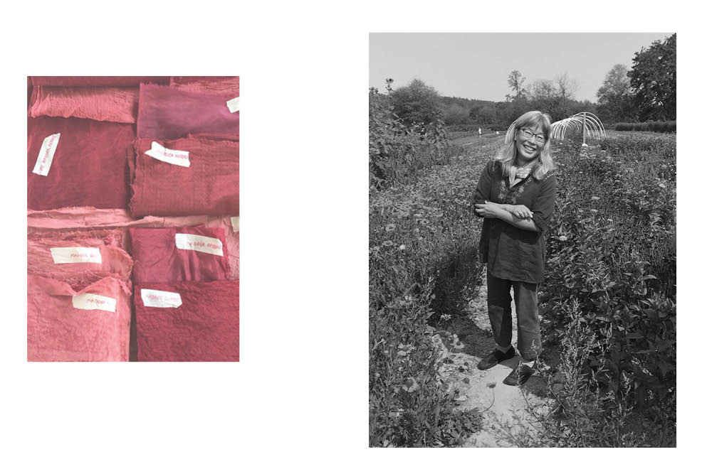 Botanical Colors Madder Root Naturally Dyed Fabric Samples and Kathy Hattori in a flower field